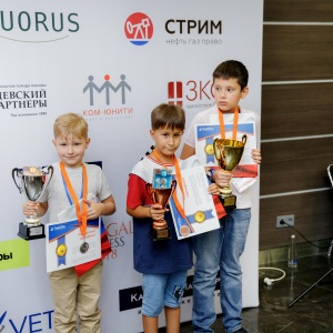 Legal Chess 2018
