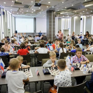 Legal Chess 2018