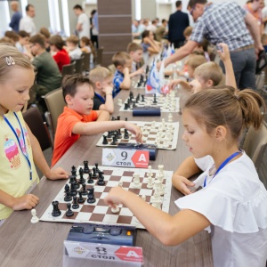 Legal Chess 2018
