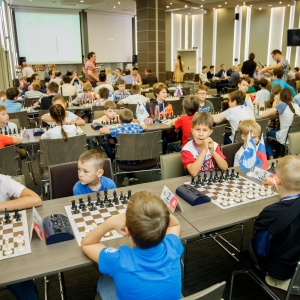 Legal Chess 2018