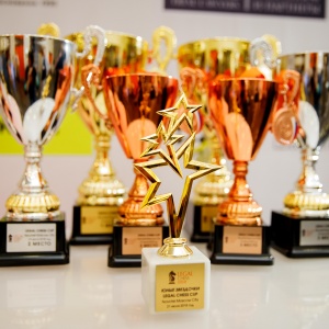 Legal Chess 2018